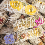 Bâton de sauge blanche fleurie