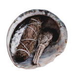 Coquille ormeau naturelle