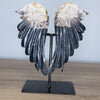 Coexistence: ailes d'ange en bois fossilisé sur jaspe