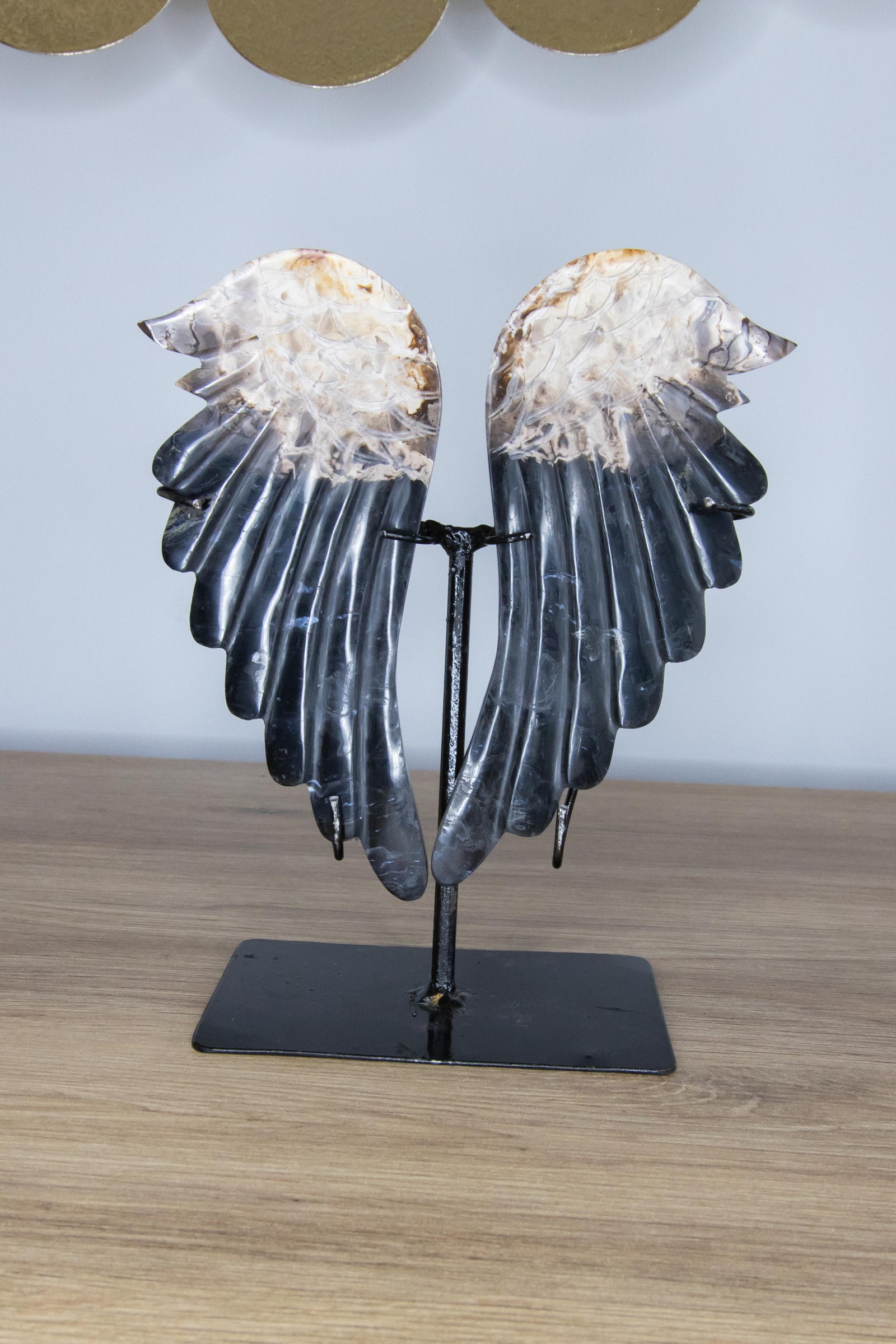 Coexistence: ailes d'ange en bois fossilisé sur jaspe